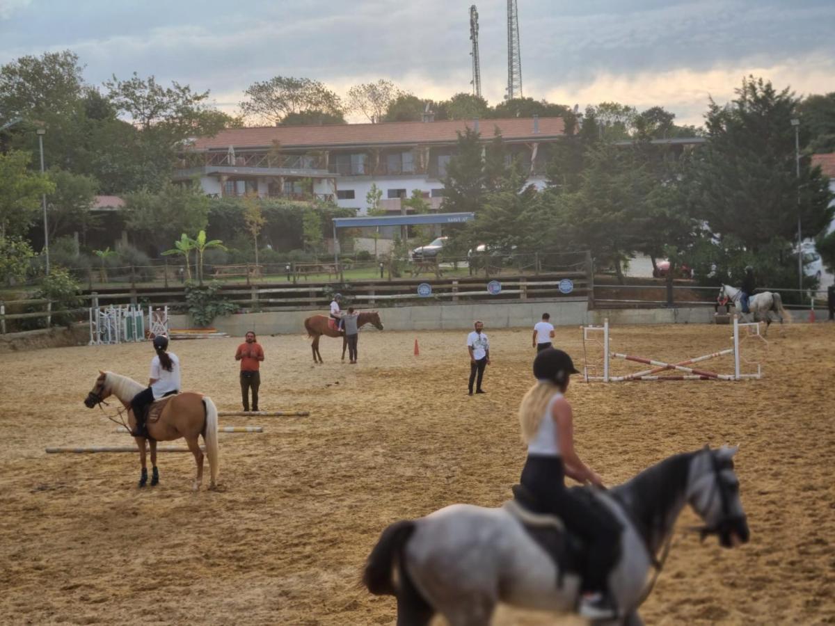 Mavi At Hotel Blue Horse Gumusdere Ngoại thất bức ảnh