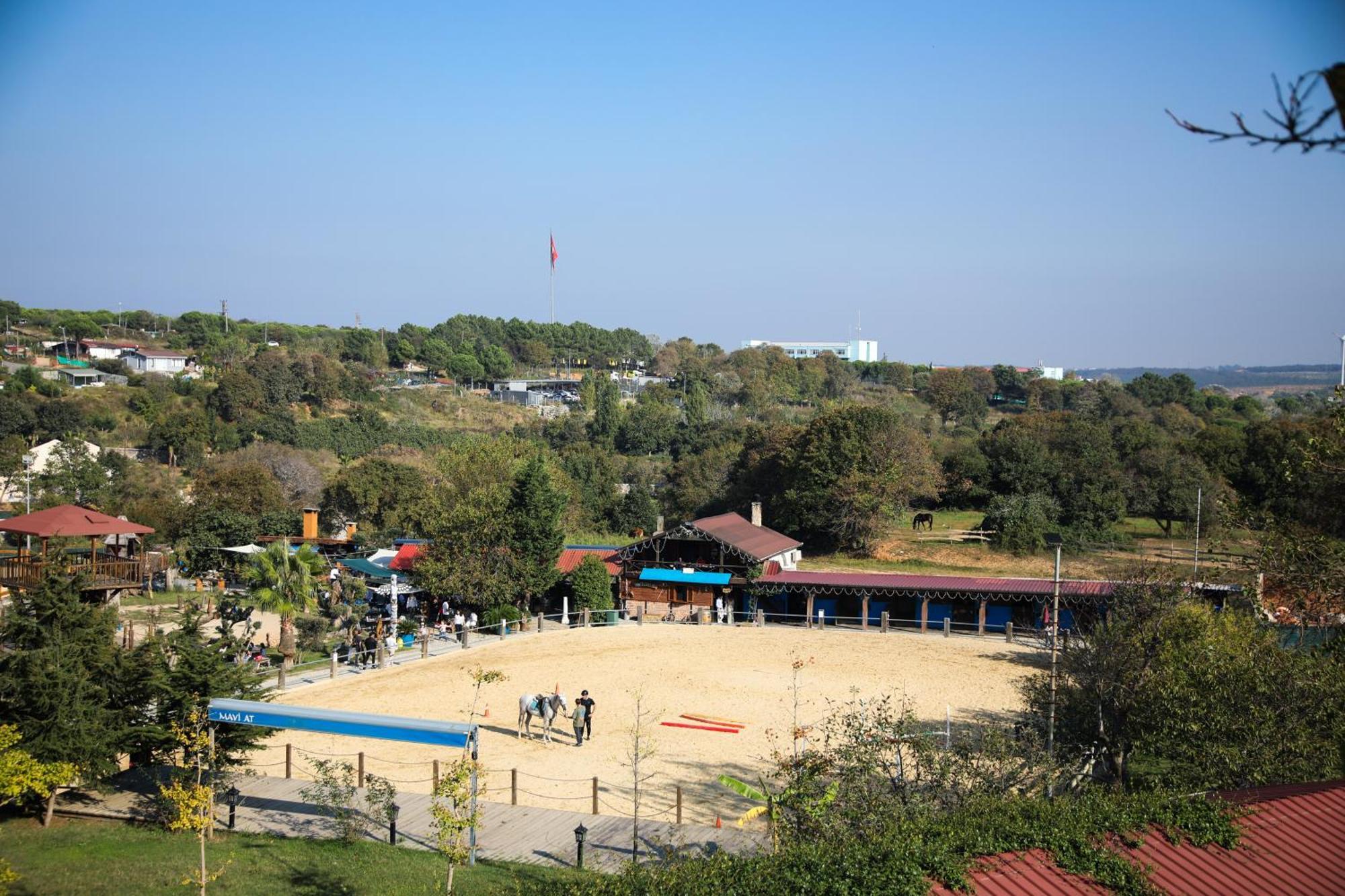 Mavi At Hotel Blue Horse Gumusdere Ngoại thất bức ảnh