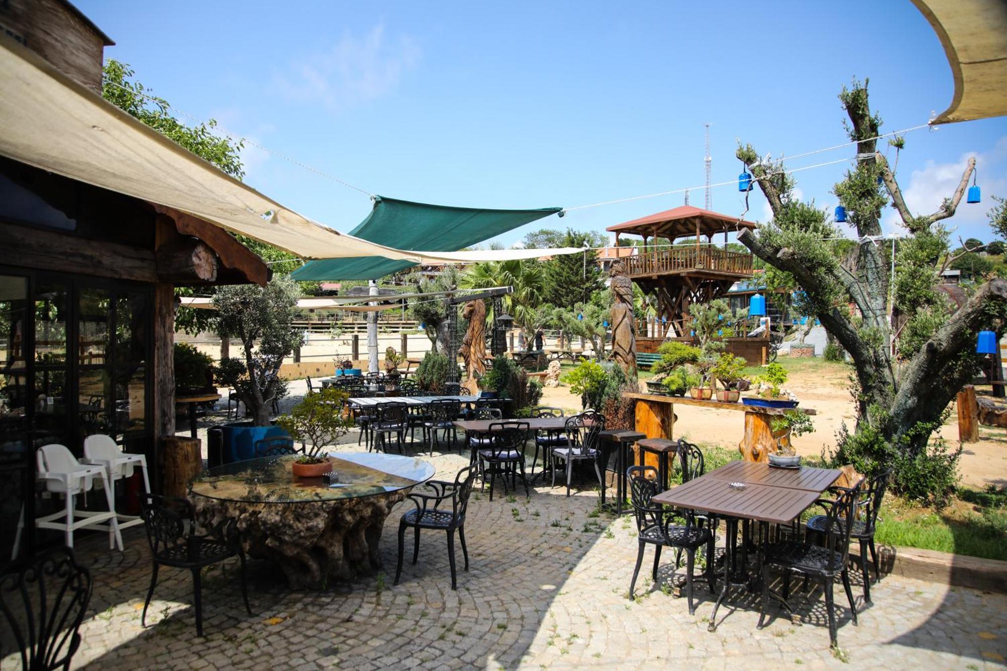 Mavi At Hotel Blue Horse Gumusdere Ngoại thất bức ảnh