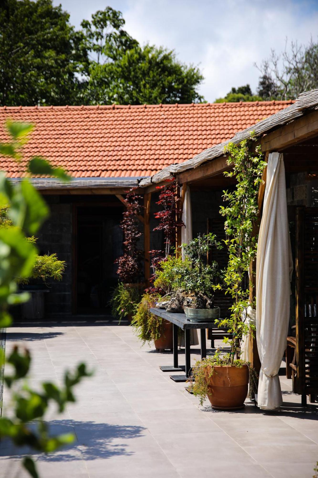 Mavi At Hotel Blue Horse Gumusdere Ngoại thất bức ảnh